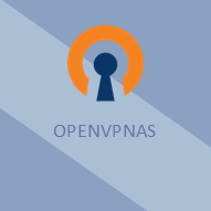 OpenVPN